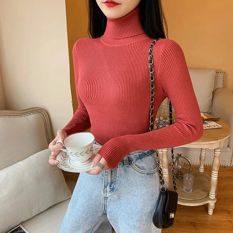 Autumn Winter Women Long Sleeve Turtleneck Ribbed Sweater Soft Warm Jumper Pullover Clothes