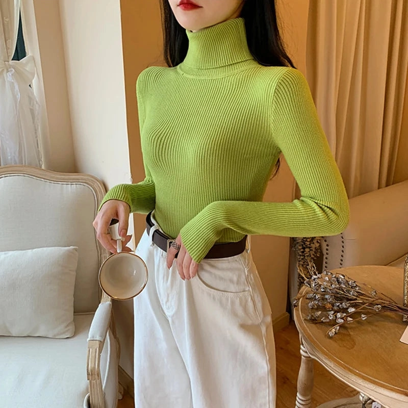 Autumn Winter Women Long Sleeve Turtleneck Ribbed Sweater Soft Warm Jumper Pullover Clothes