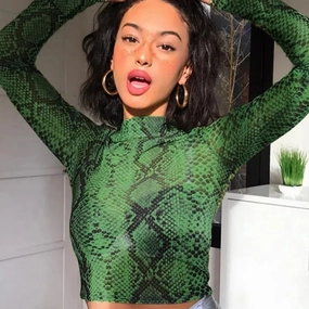 Casual Green Snake Print T Shirt Women Mesh Top Long Sleeve Transparent Snakeskin Female T-shirt High Neck Crop Tops