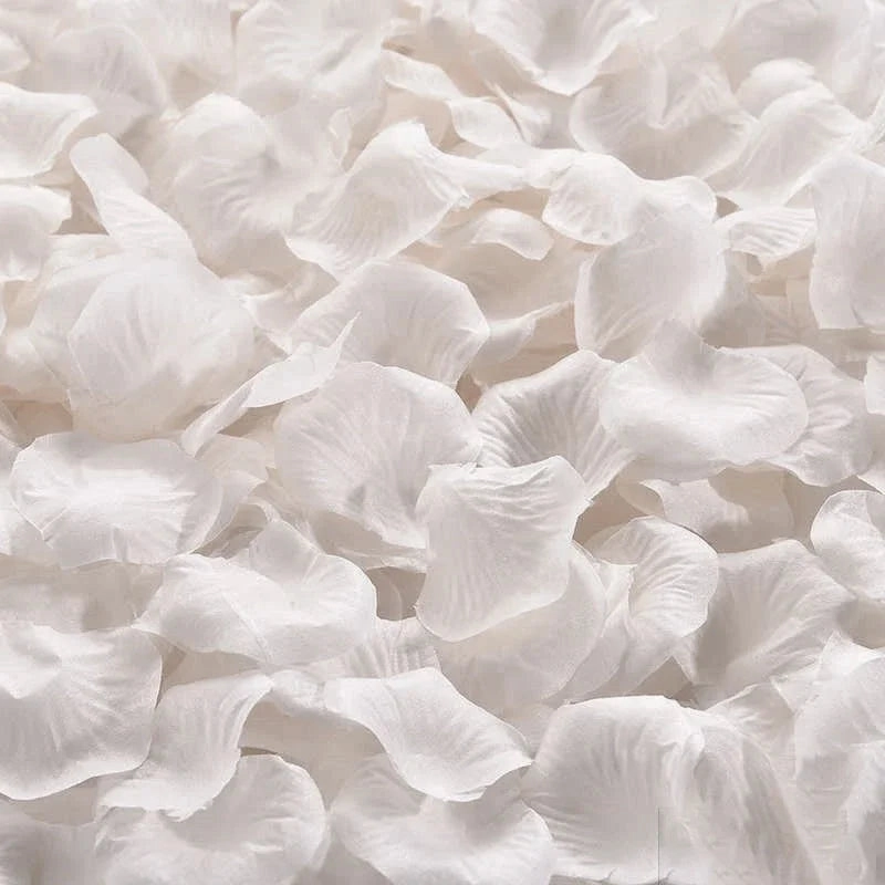 Colorful Love Romantic Warm Silk Rose Petals 3000/2000/100PCS
