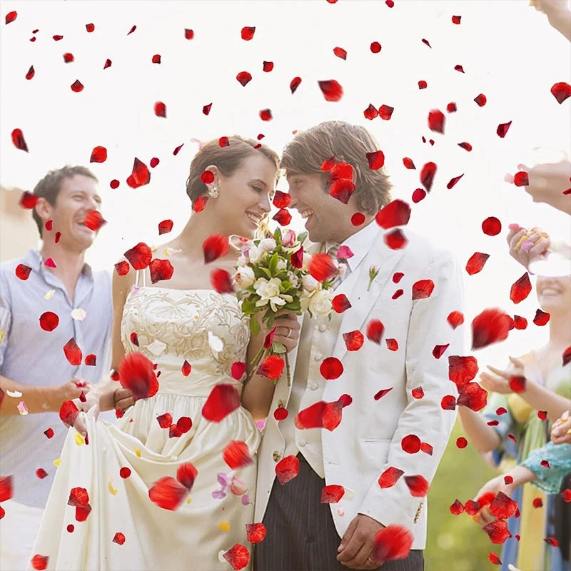 Colorful Love Romantic Warm Silk Rose Petals 3000/2000/100PCS
