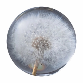 Crystal Dandelions Ball Figurine Unique Style Resin Gift