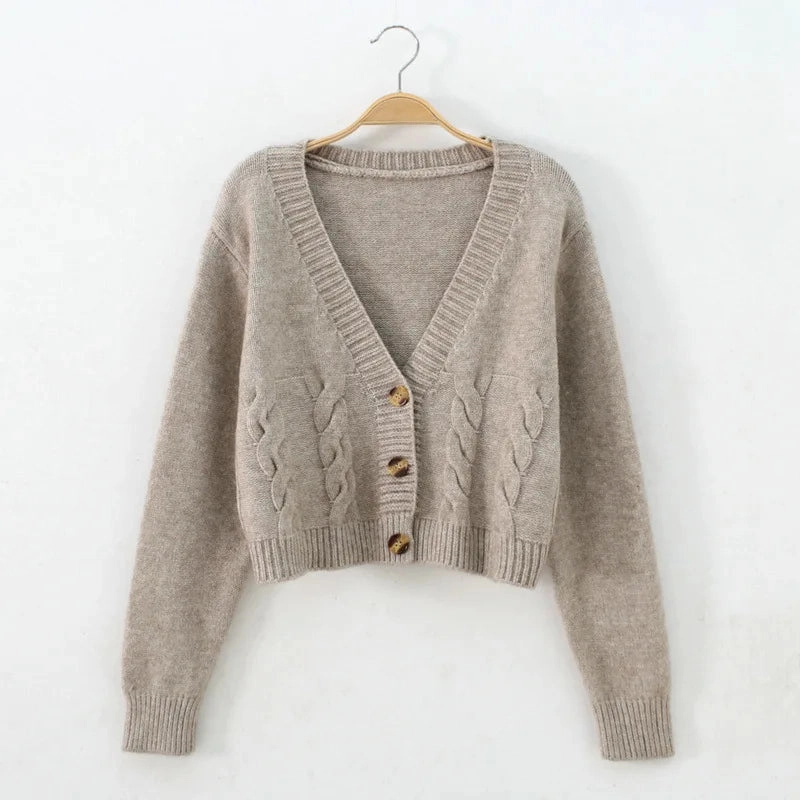 Short Style High-Waisted Slim Plastic Sweater Cardigan for Women Spring